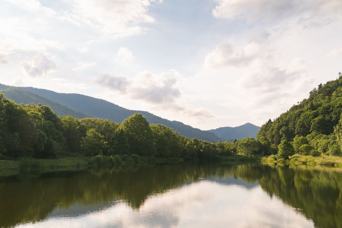 A lake surrounded by trees in the mountains